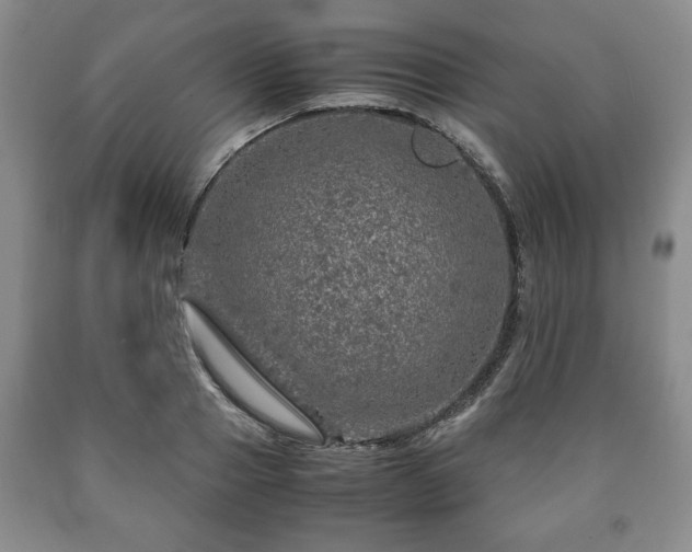 X0000090600937200707241040