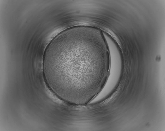 X0000090600938200707241040