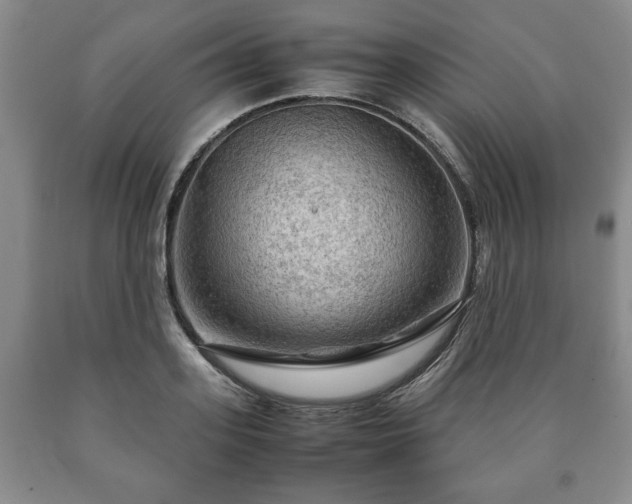 X0000090600939200707241040