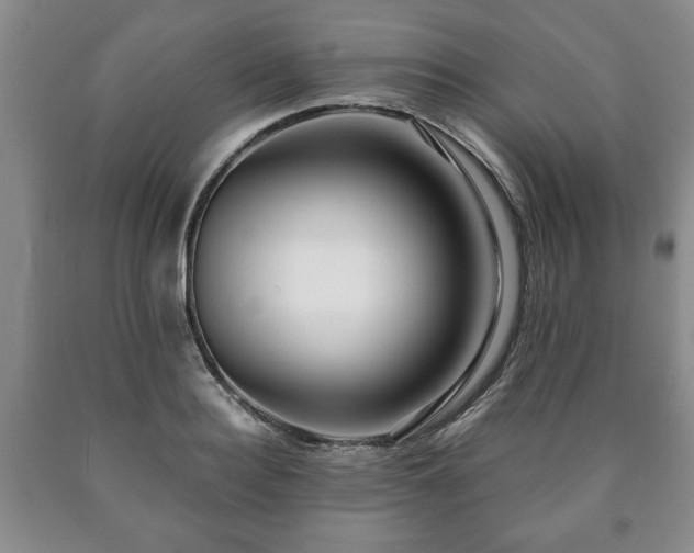 X0000090600940200707241040