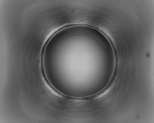 X0000090600941200707241040