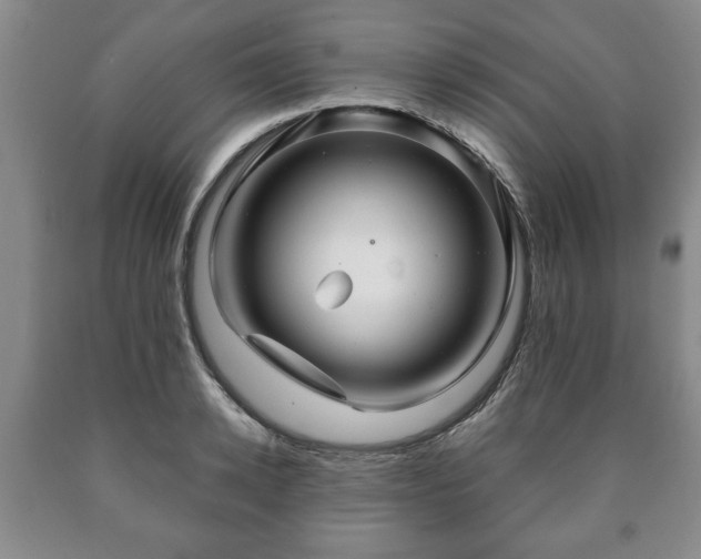 X0000090600942200707241040