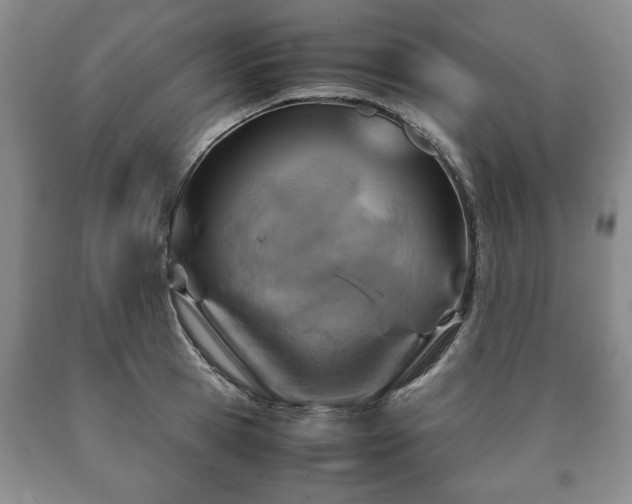 X0000090600945200707241040