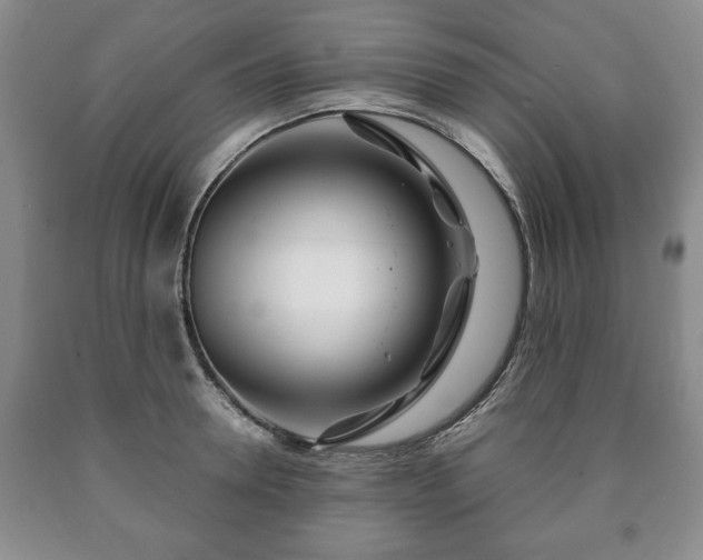 X0000090600946200707241040