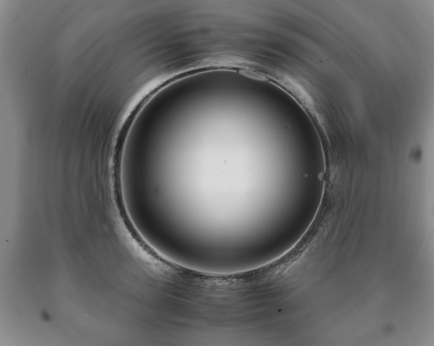 X0000090600947200707241040
