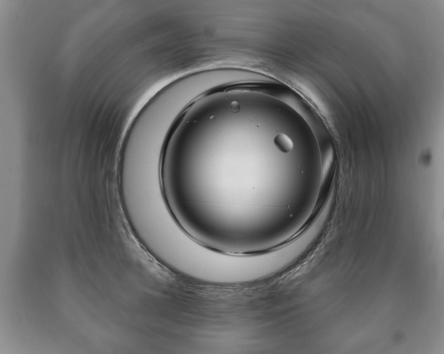 X0000090600948200707241040