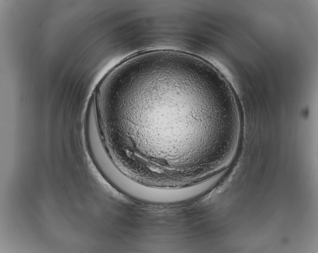 X0000090600949200707241040