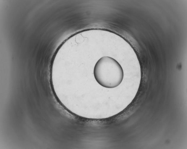 X0000090600950200707241040