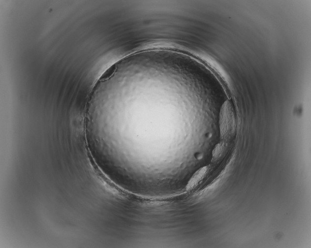X0000090600953200707241040