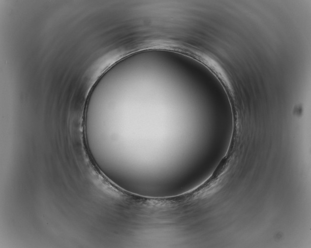 X0000090600954200707241040