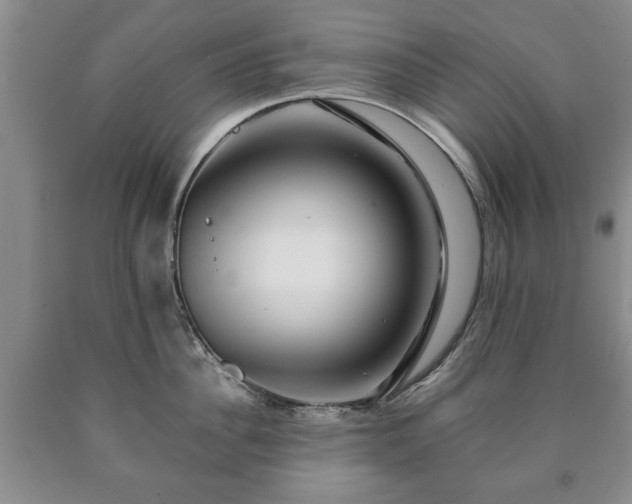 X0000090600956200707241040