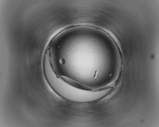 X0000090600957200707241040