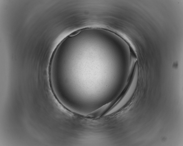 X0000090600959200707241040
