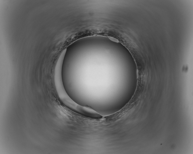 X0000090600961200707241040