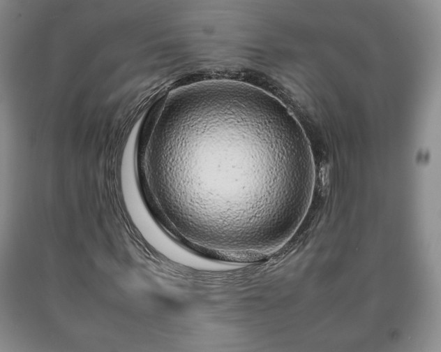 X0000090600963200707241040