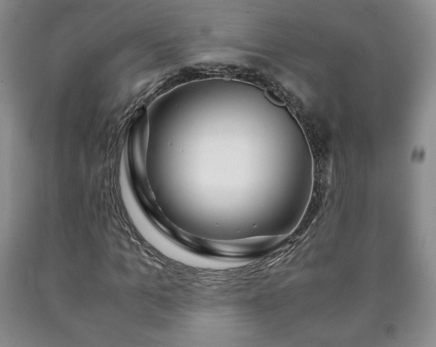 X0000090600965200707241040