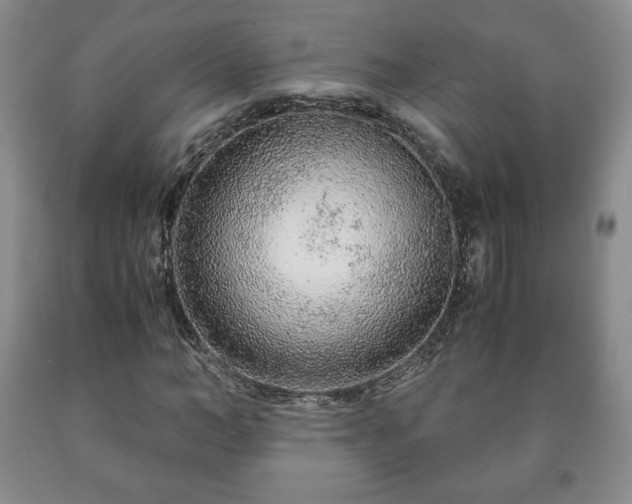 X0000090600966200707241040