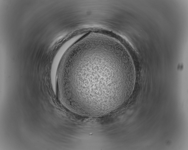 X0000090600967200707241039