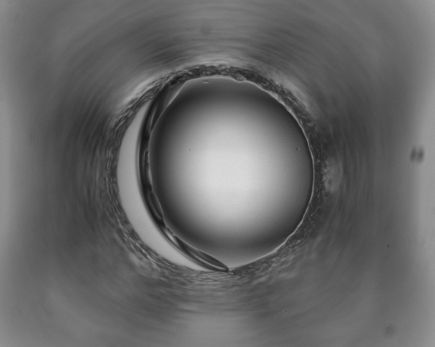 X0000090600968200707241039