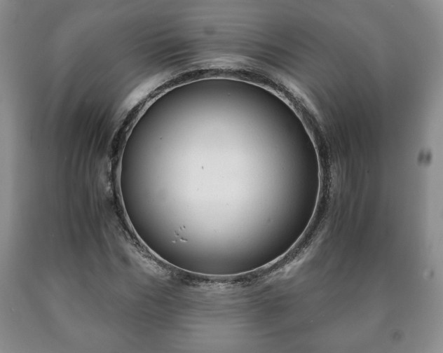 X0000090600970200707241039