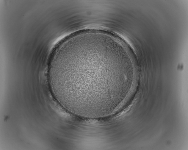 X0000090600971200707241039