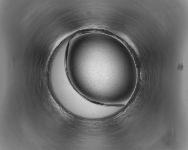 X0000090600972200707241039