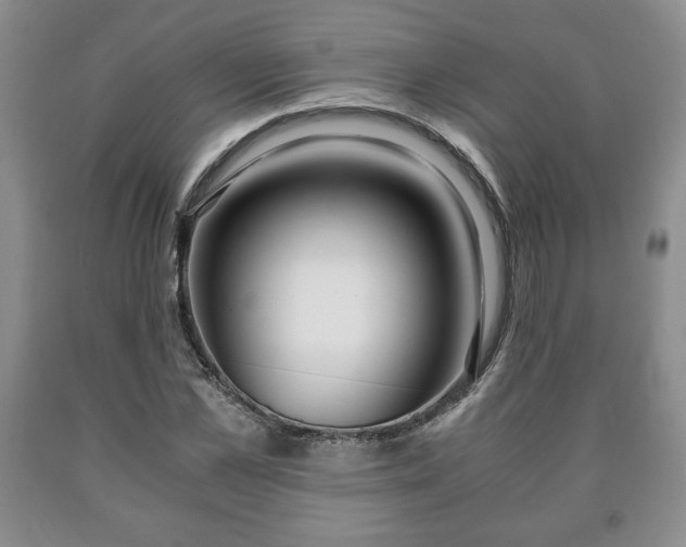 X0000090600973200707241039