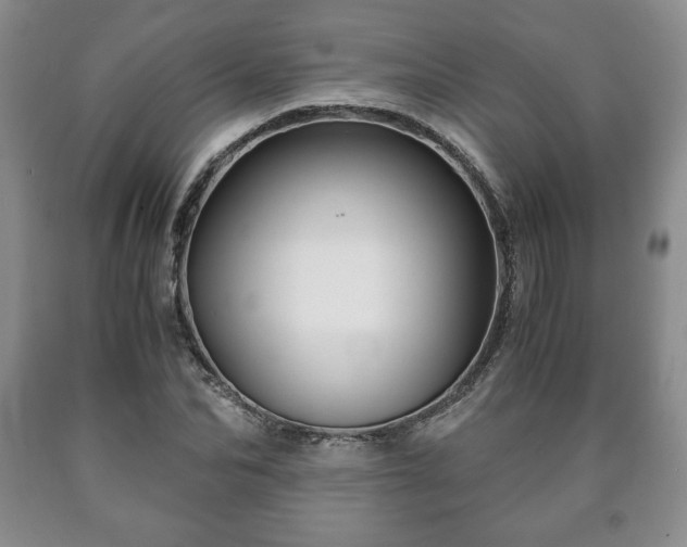 X0000090600974200707241039