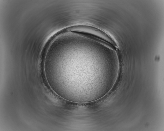 X0000090600975200707241039