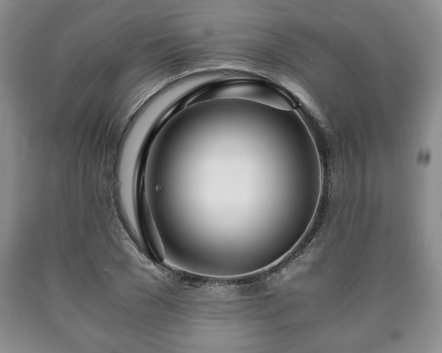 X0000090600977200707241039
