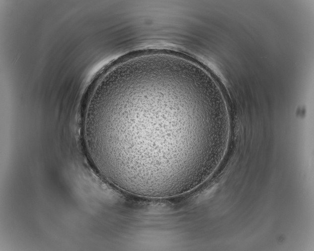 X0000090600979200707241039