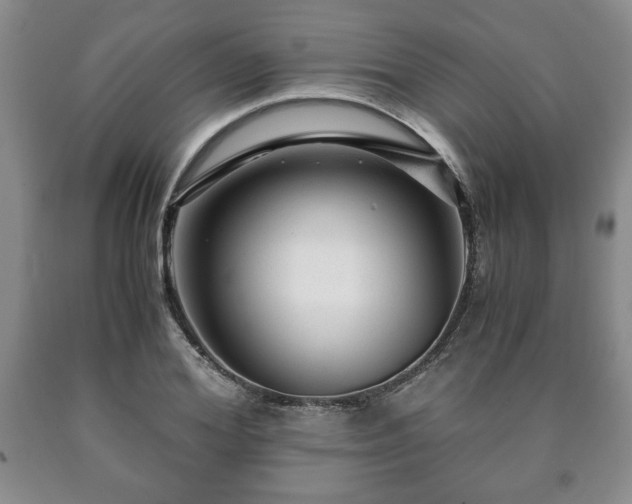X0000090600980200707241039