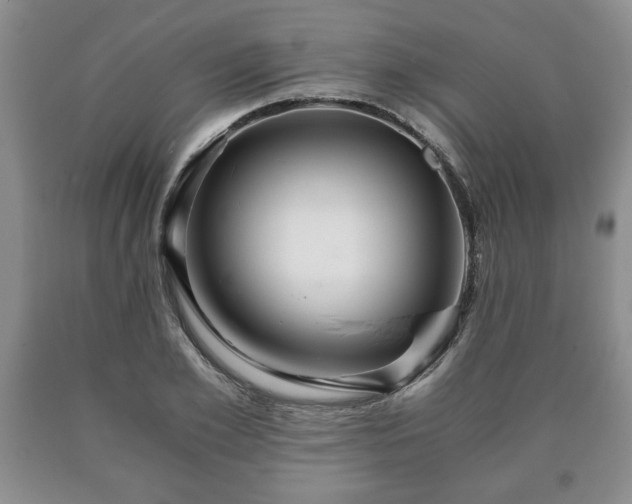 X0000090600981200707241039