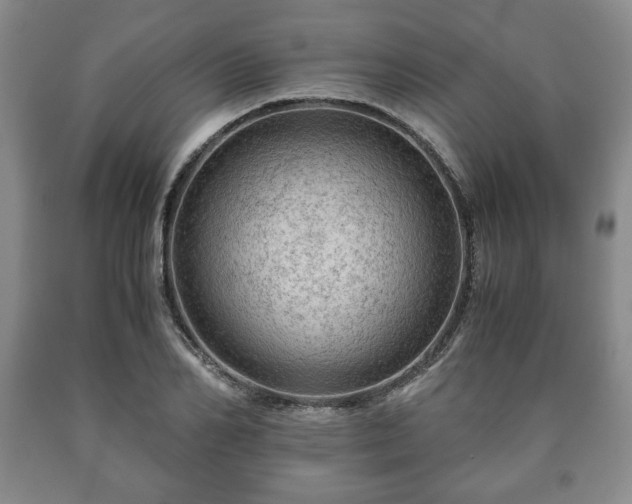 X0000090600982200707241039