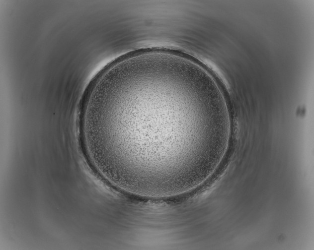 X0000090600983200707241039