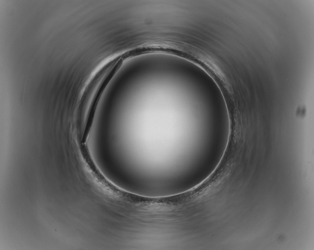 X0000090600984200707241039