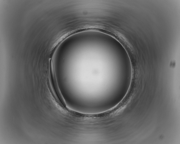 X0000090600985200707241039