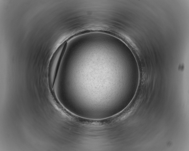 X0000090600986200707241039