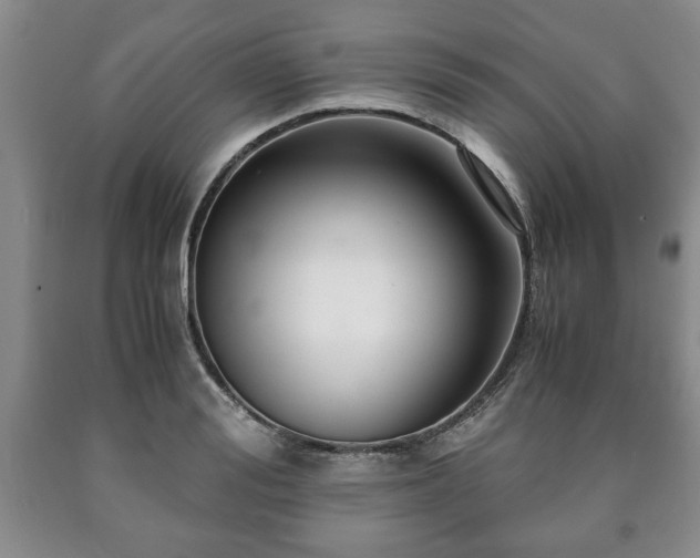 X0000090600988200707241039