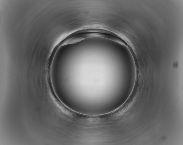 X0000090600989200707241039