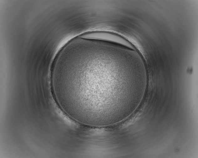 X0000090600990200707241039
