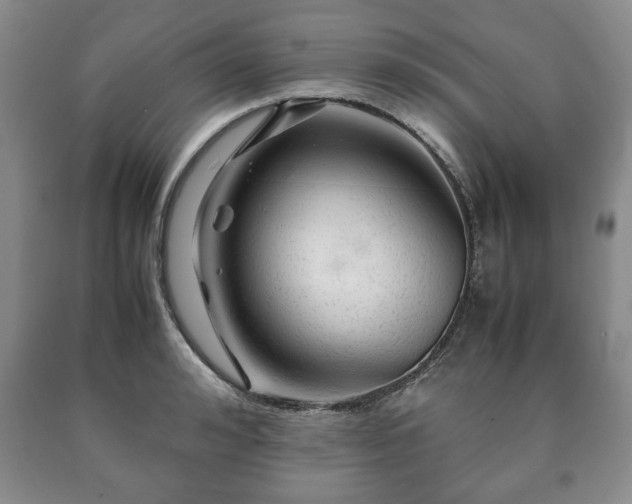 X0000090600992200707241039