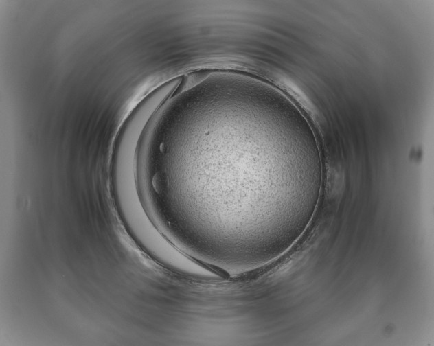 X0000090600994200707241039