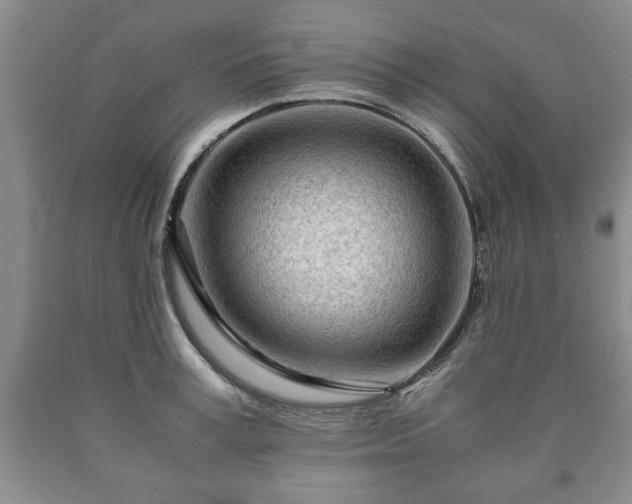 X0000090600995200707241039