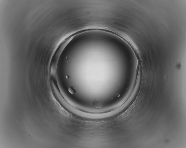 X0000090600996200707241039