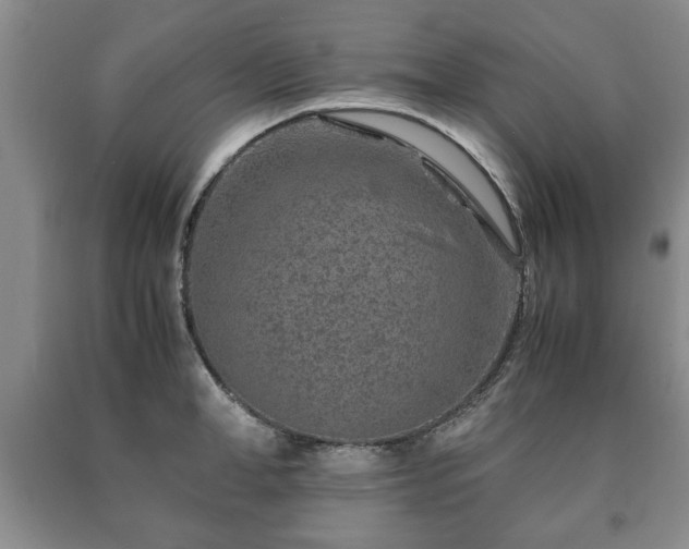 X0000090600998200707241039