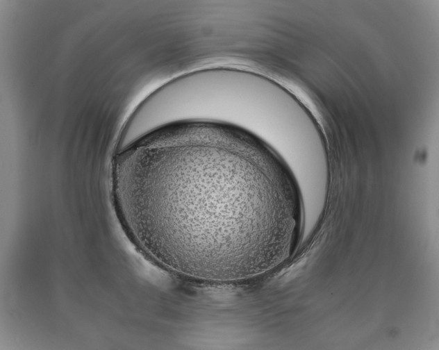 X0000090600999200707241039