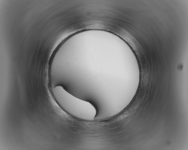 X0000090601000200707241039