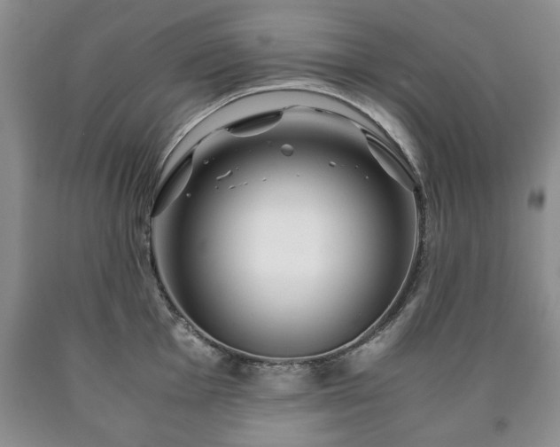 X0000090601001200707241039