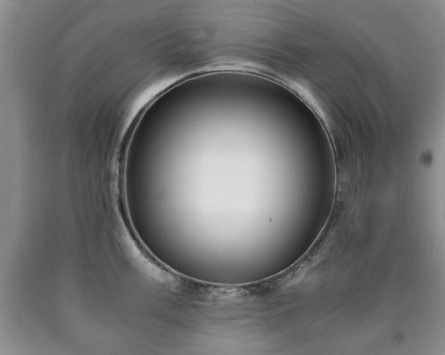 X0000090601003200707241039